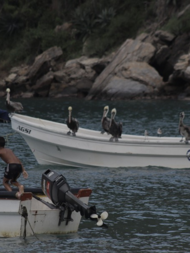 Acciones de resistencia socio economicas